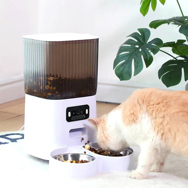 A white smart pet feeder with a transparent top is shown next to a cat eating food on a white surface.