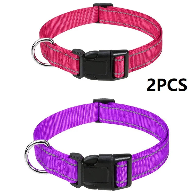 Decorative Nylon Dog Collar with Buckle Closure