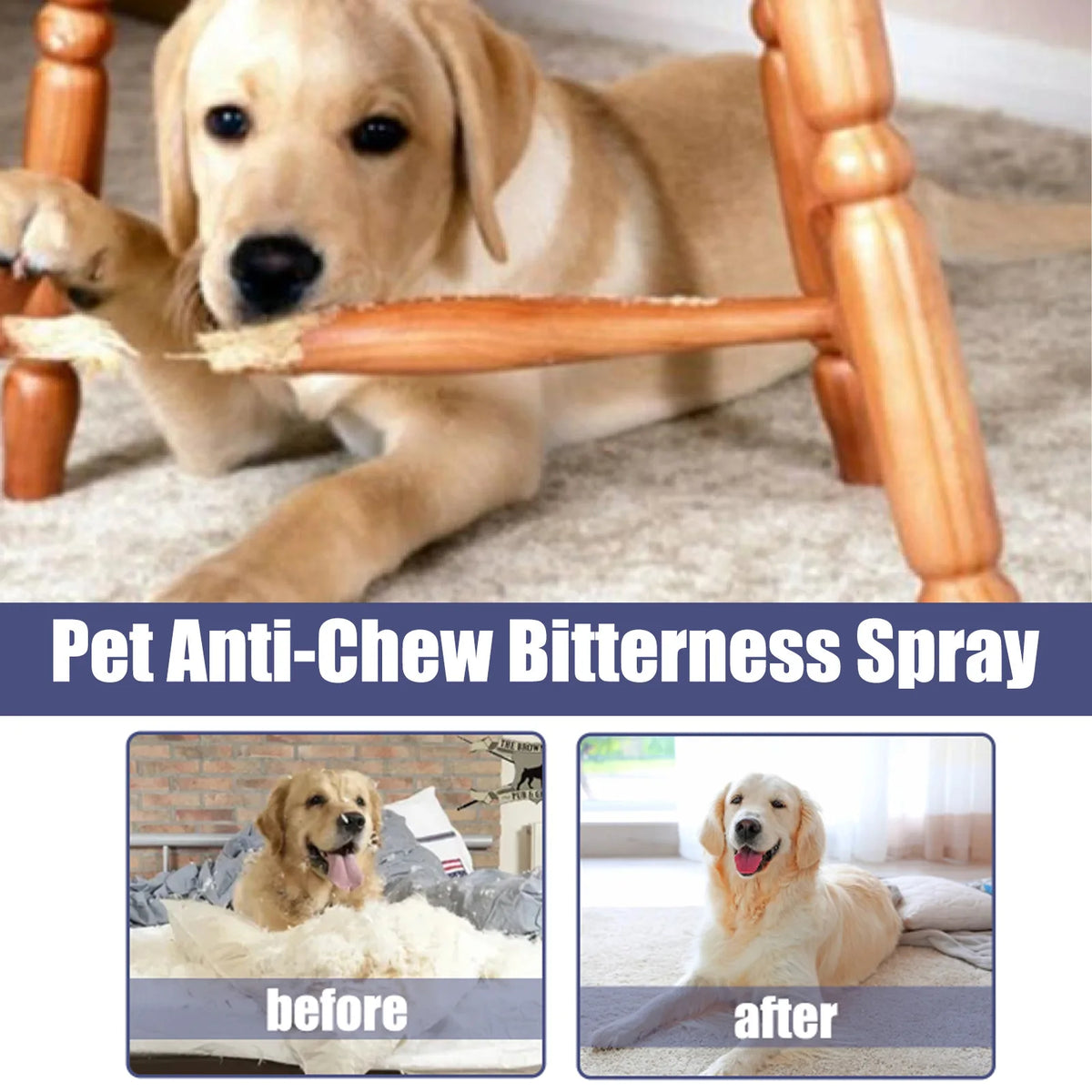Images avant et après montrant un chien interagissant avec un spray anti-morsure pour protéger les meubles