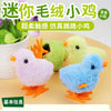 Wind Up Plush Chick Cat Toy - Interactive Cartoon Toy