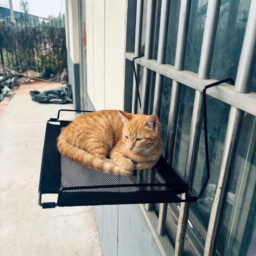An orange tabby cat is relaxing on a black mesh window hammock mounted on a glass window.