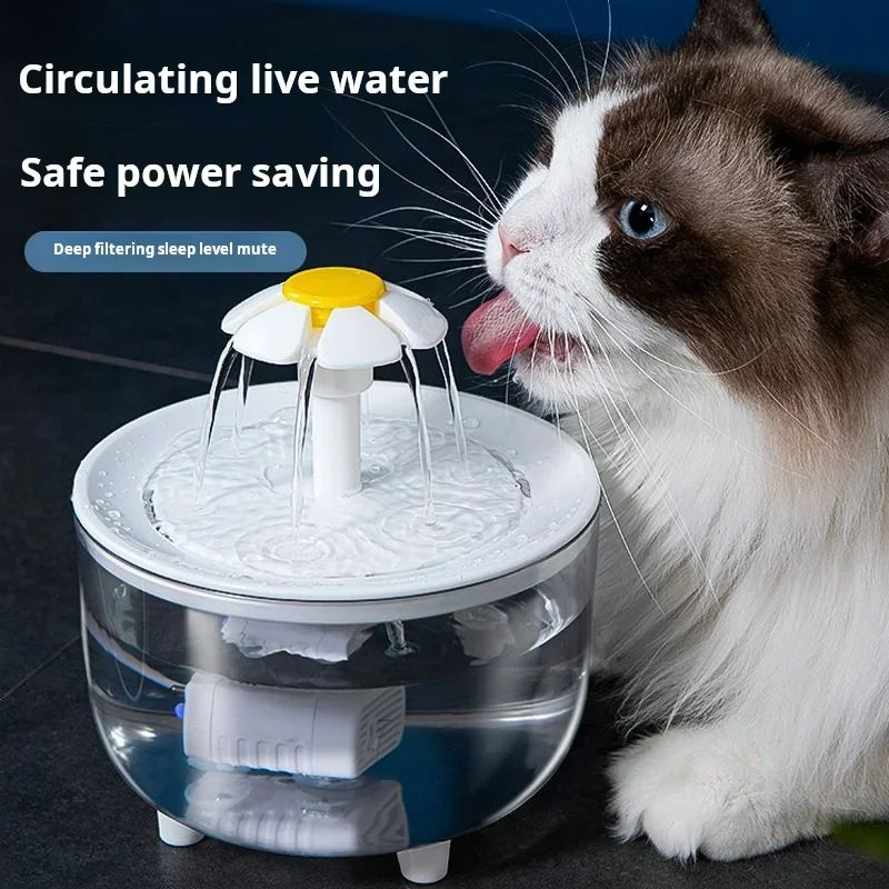 A domestic cat is looking at a clear water fountain with water flowing, demonstrating safe power saving features.