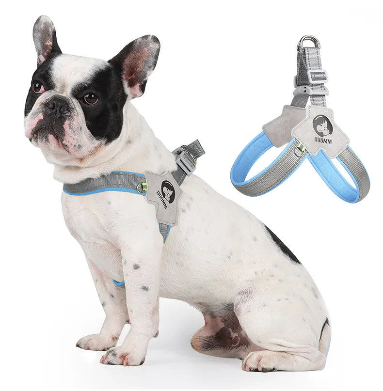 A white and black bully breed dog wearing a light blue reflective mesh pet harness for walking.