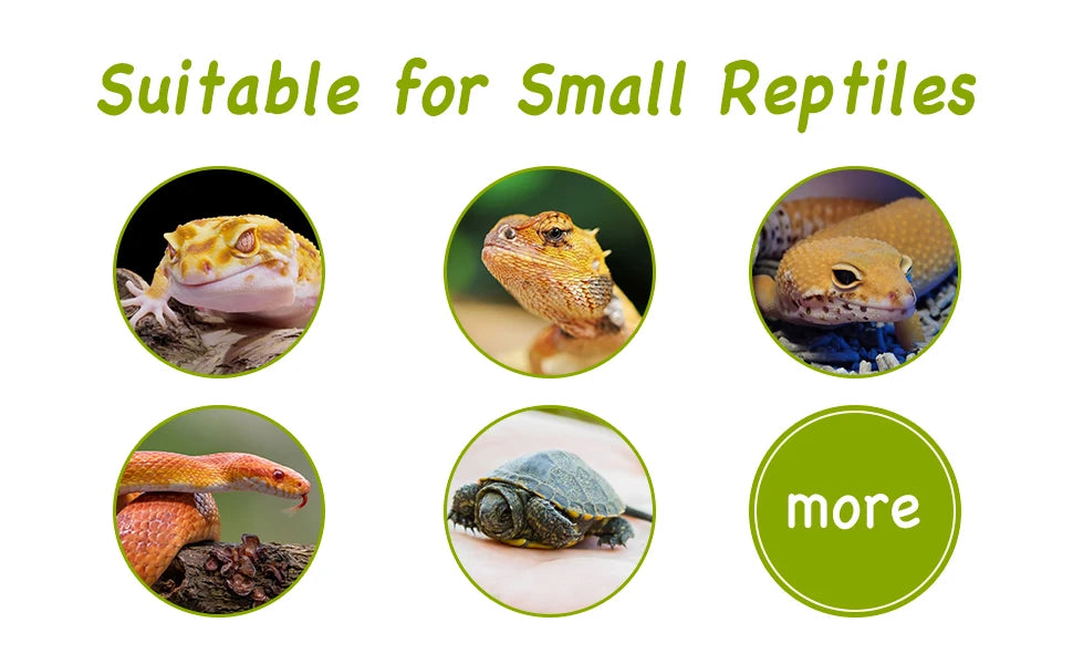 Natural Resin Rock Cave Hideout for Reptiles