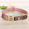 طوق جلد مخصص لكلب مع علامة تعريف