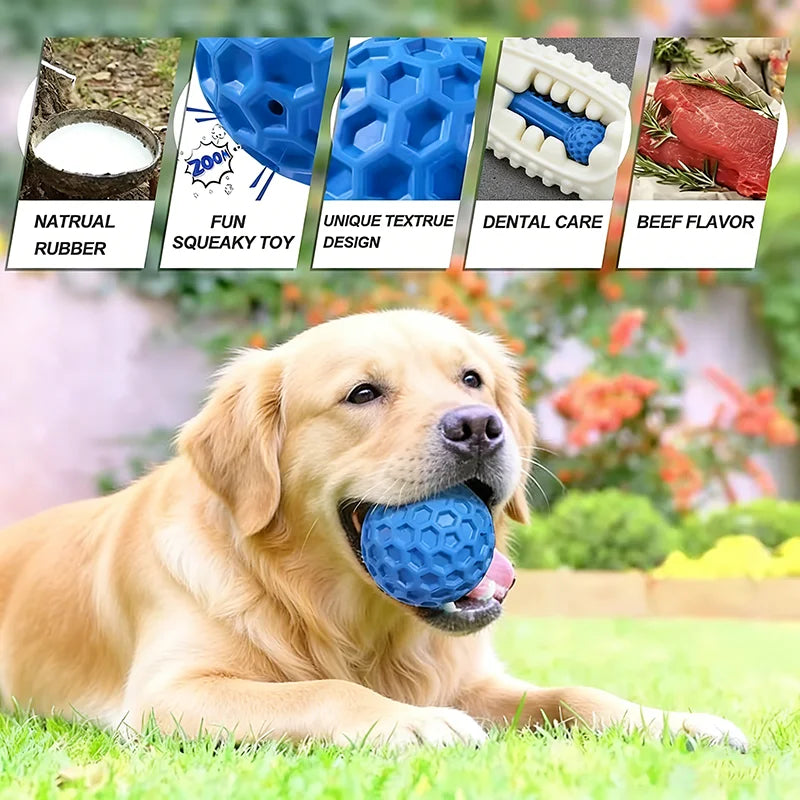A golden Labrador dog is lying down and playing with a blue honeycomb squeaky rubber dog toy.