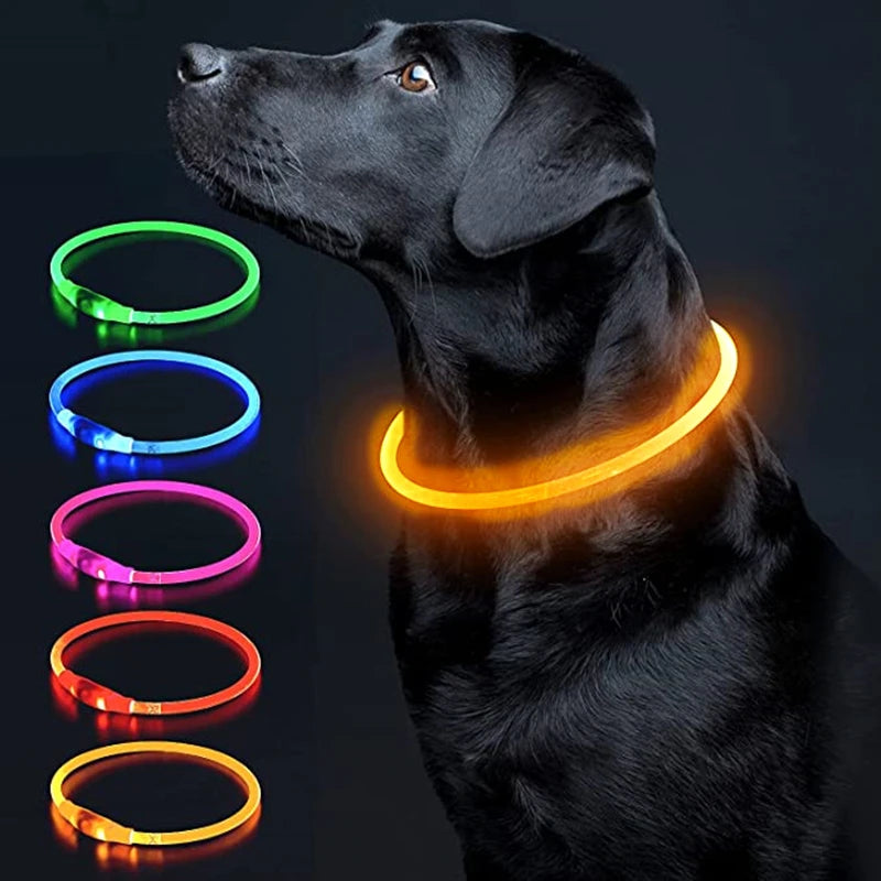 A black dog wearing a glowing LED collar with multiple color options displayed below.