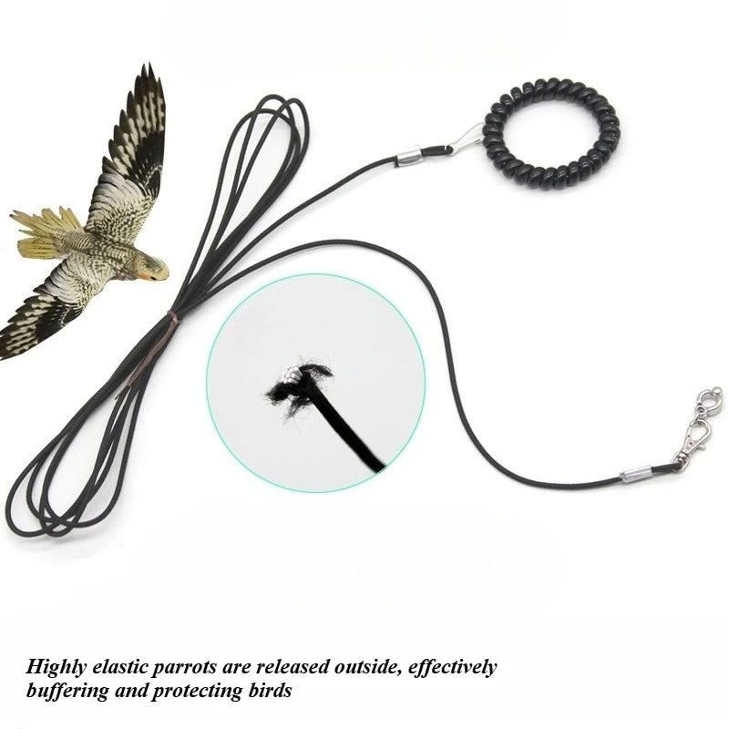 A bird training harness and safety leash are shown with a feather and a black coiled leash.