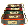 Personalisierte gepolsterte Leder-Hundehalsband mit graviertem Namensschild