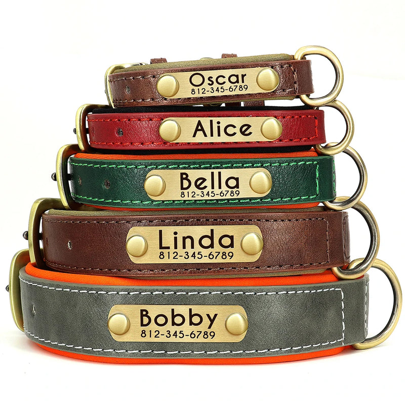 Personalisierte gepolsterte Leder-Hundehalsband mit graviertem Namensschild