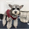 Classic V-Neck Knit Pet Sweater for Small Dogs & Cats