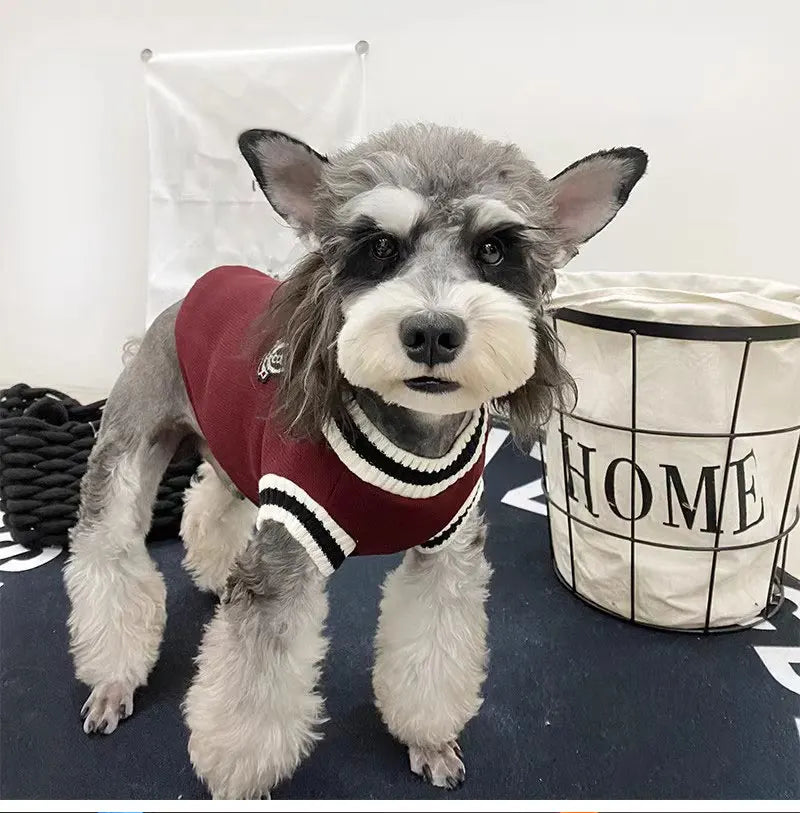 Classic V-Neck Knit Pet Sweater for Small Dogs & Cats