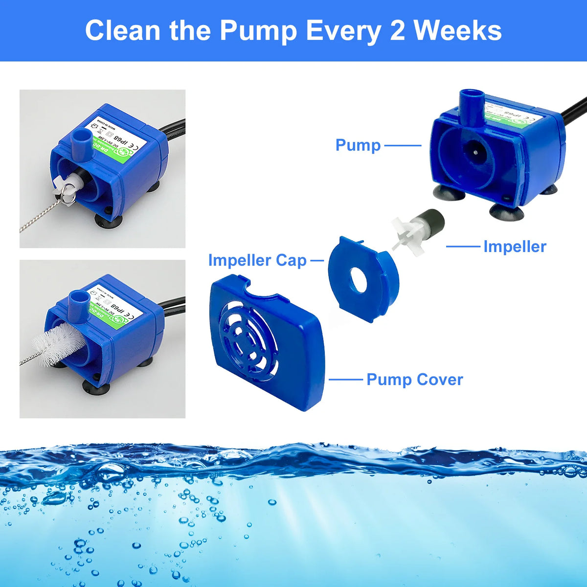 A blue water pump assembly showing the impeller, pump cover, and electrical connection for cleaning pet fountain pumps.