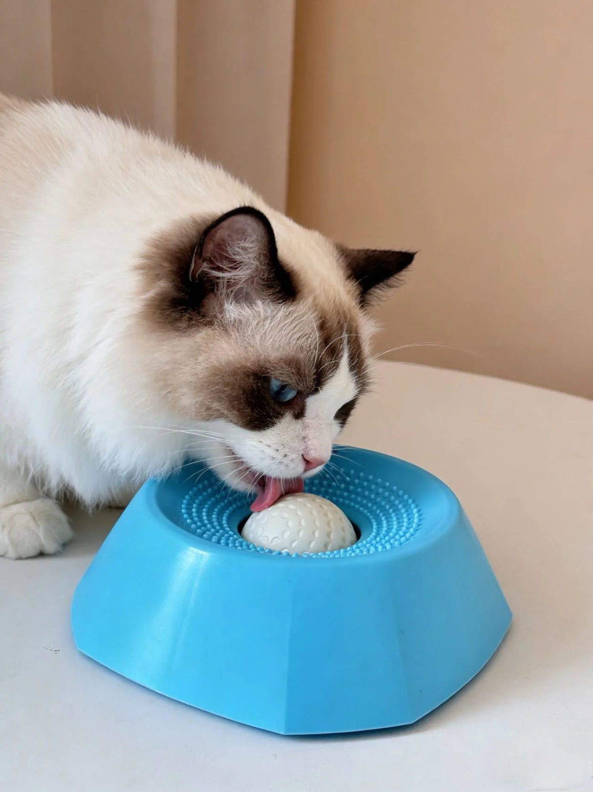 Un gato blanco interactuando con un cuenco de alimentación lenta azul, lamiendo una pelota blanca interna.