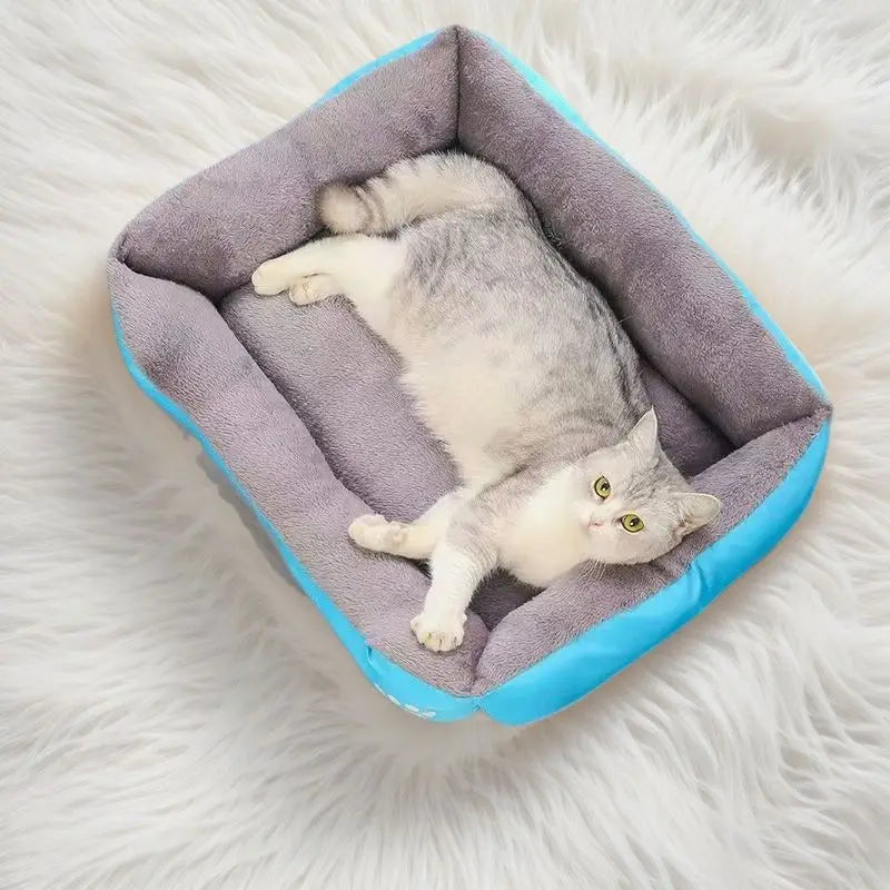 A fluffy gray and white kitten is resting inside a blue and gray pet bed on a white fur surface.