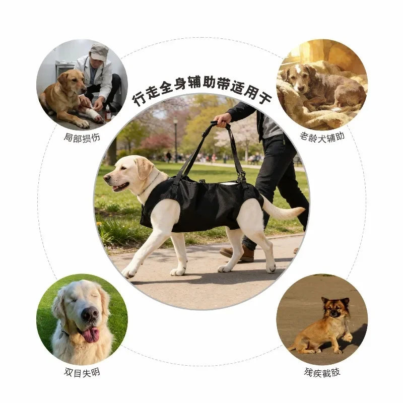 Diagram showing various dogs using an adjustable multi-way dog carrier bag for transport
