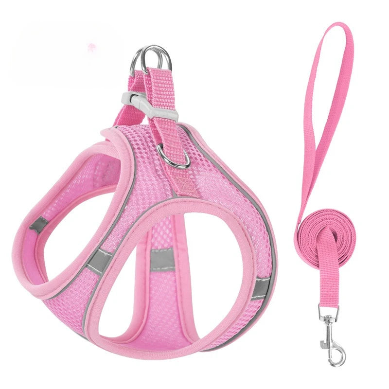 Pink reflective no-pull dog harness with a leash shown in a loop and full view.