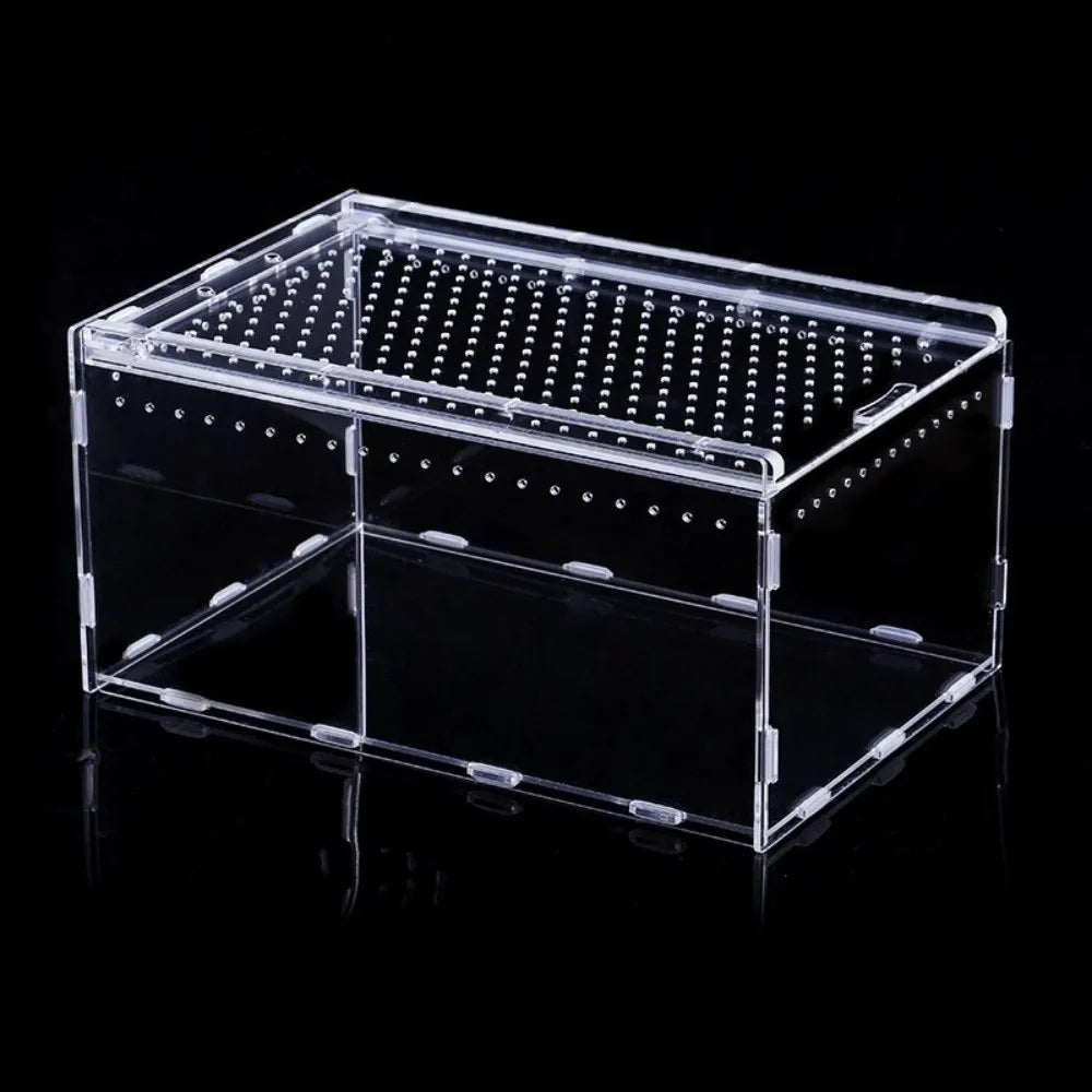Acrylic Reptile Terrarium with Ventilation and Anti-Escape Lid