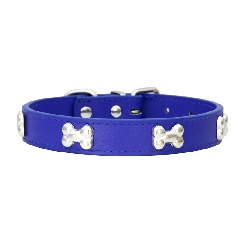 A royal blue leather dog collar with silver-toned hardware.
