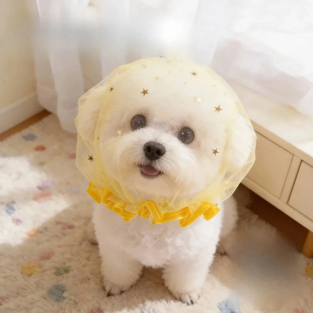 Breathable Star Tulle Dog Muzzle Cover for Outdoor Walks