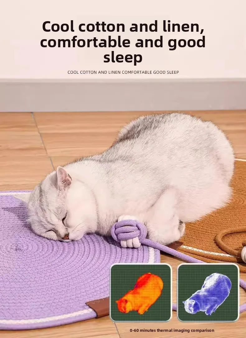 A gray cat is sleeping on a purple mat next to a blue ball, demonstrating comfortable sleep.