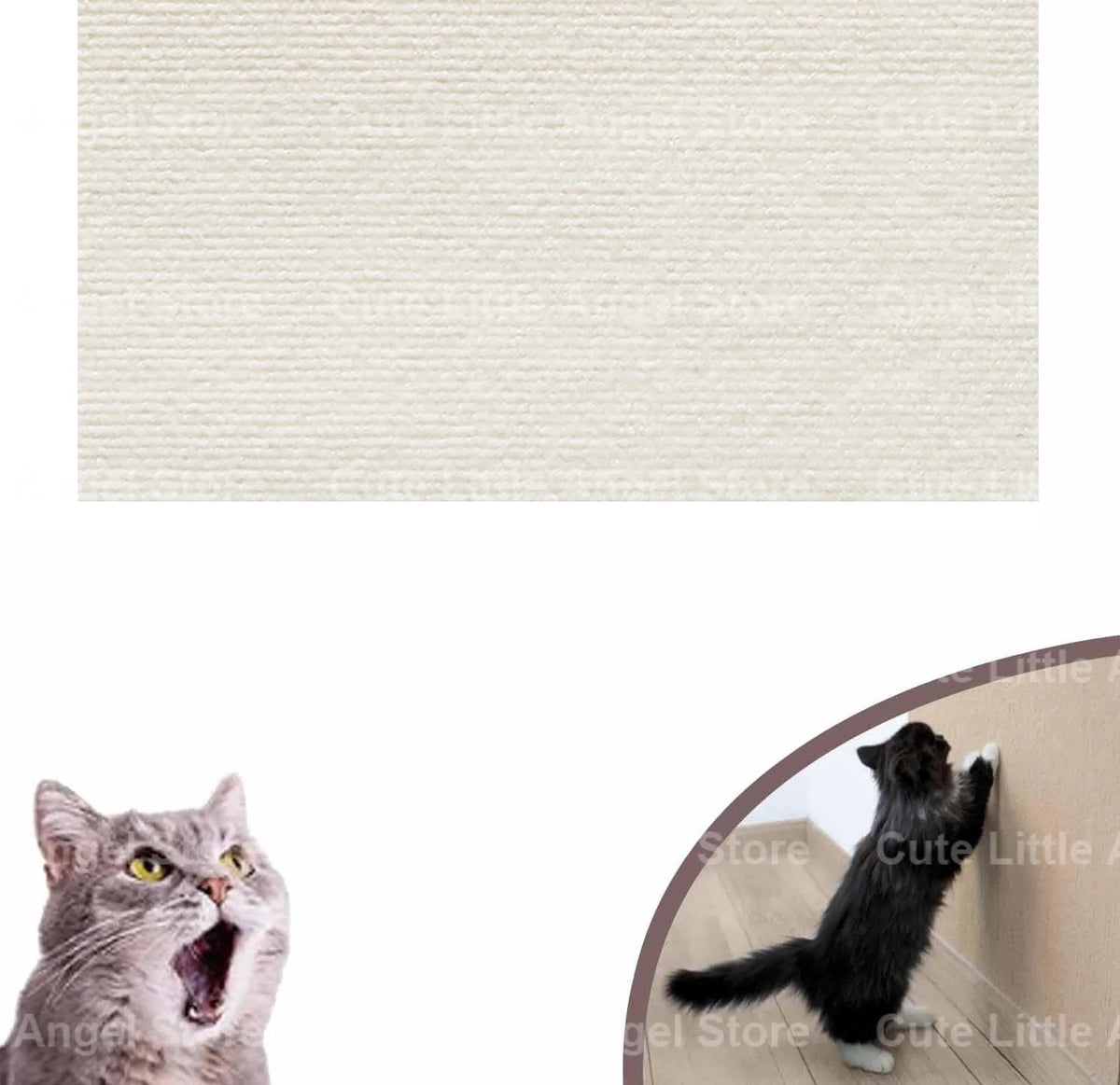 Un chat tigré regardant intensément l'appareil photo.