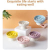 Ceramic Elevated Cat Bowl with Slow Feeder Design