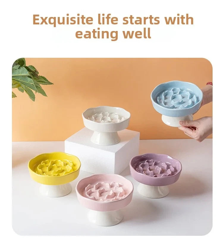 Ceramic Elevated Cat Bowl with Slow Feeder Design