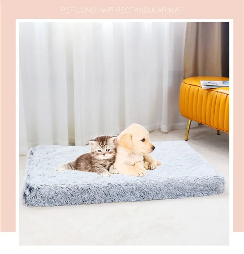 Orthopedic Dog Bed with Removable Cover for Small to Large Pets