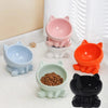 Ceramic Cat Bowl with High Feet for Pet Feeding