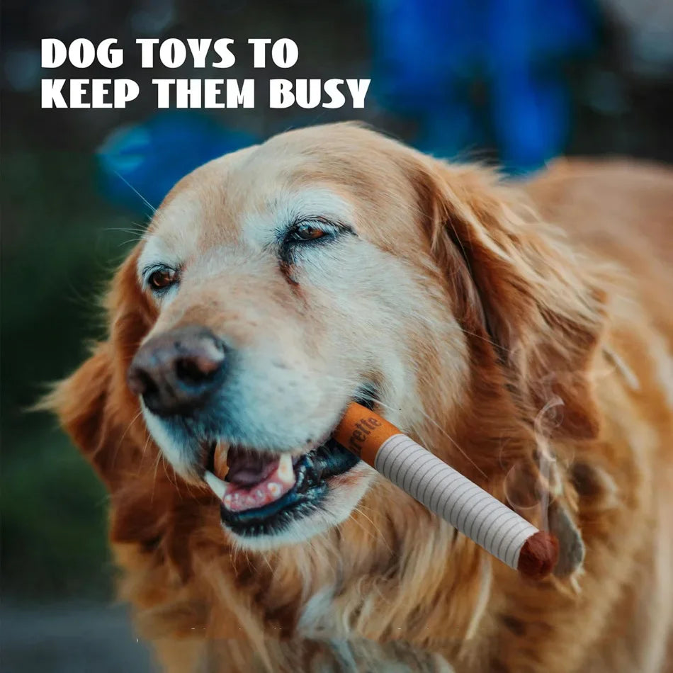 A golden retriever is shown with an orange chew toy between its teeth.