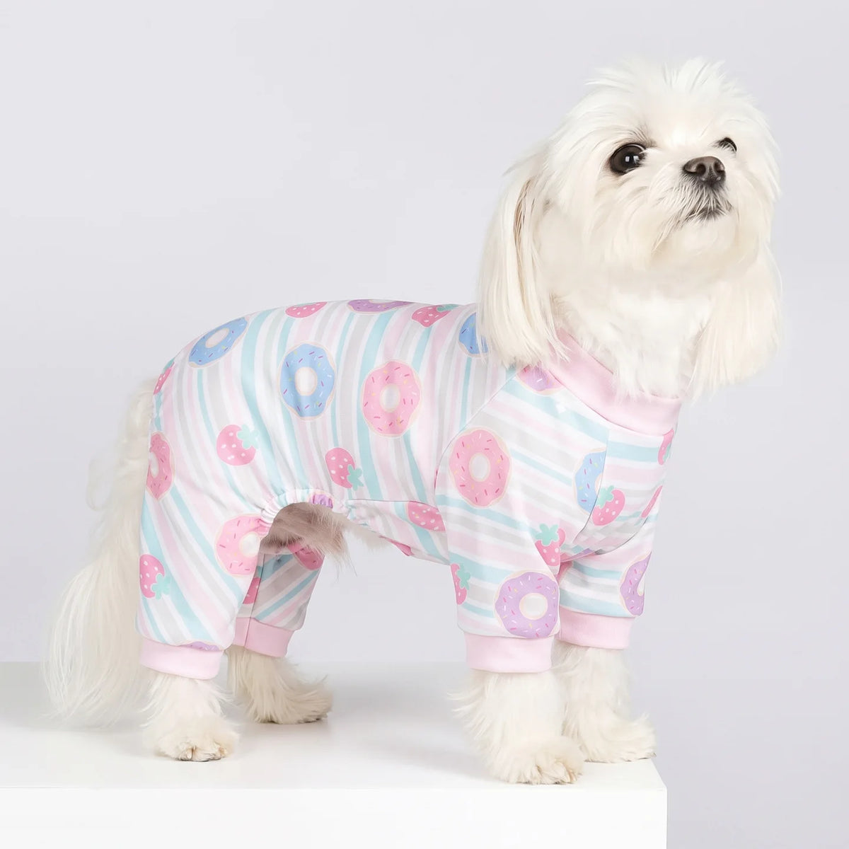 A white dog wearing a pink and blue animal print jumpsuit onesie.