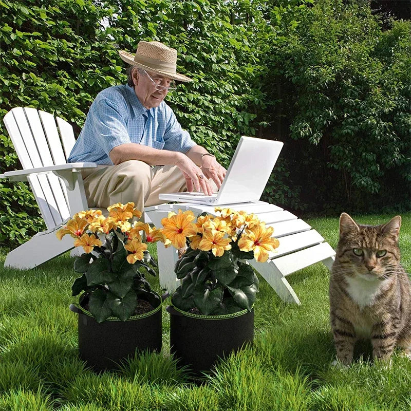 An elderly man sits in a white chair outdoors with a laptop, surrounded by potted yellow flowers and a cat on green grass.