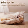 Cat Dental Care Chew Stick with Silver Vine