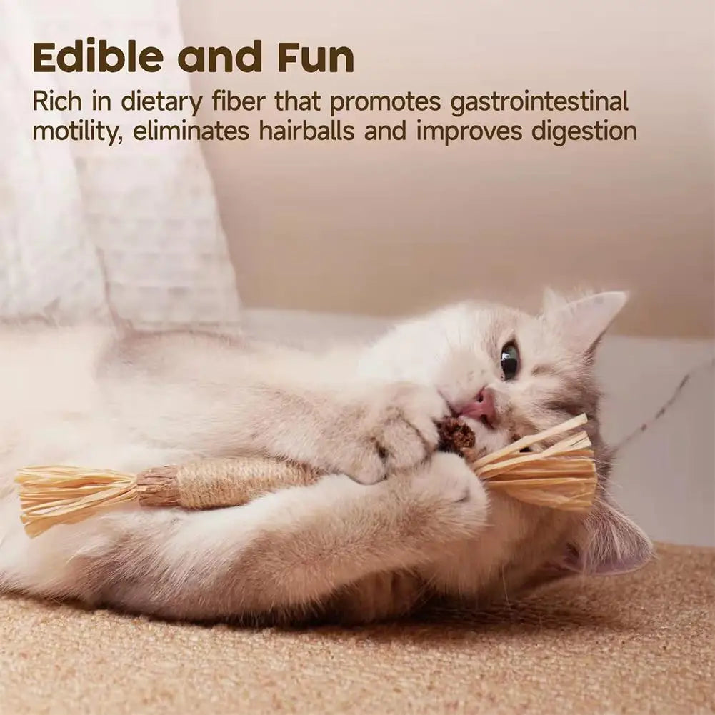 Cat Dental Care Chew Stick with Silver Vine