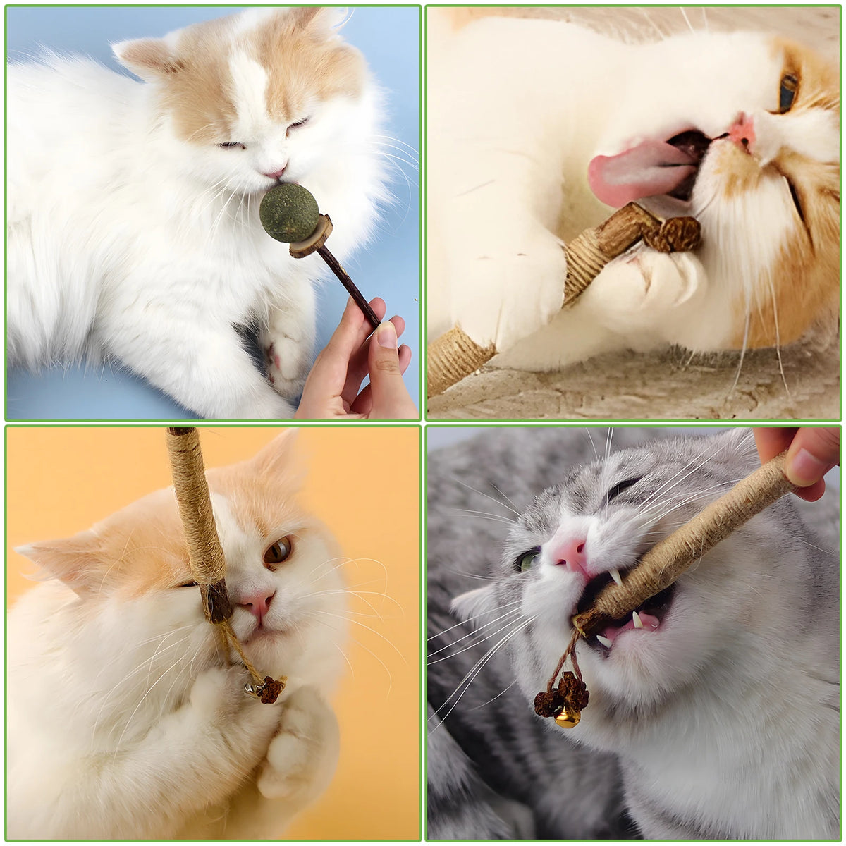 Natural Silvervine Cat Chew Sticks for Dental Care & Play