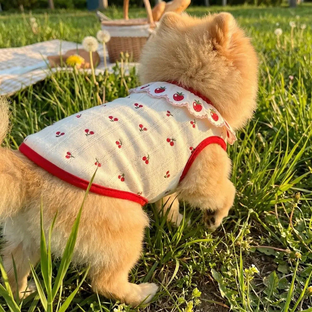 Ruffled Collar Cat Strawberry Vest with Cherry Pattern