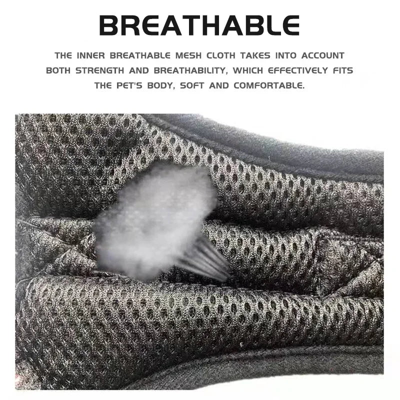 Close-up of a dark mesh pet harness showing its breathable texture and fit against a body.
