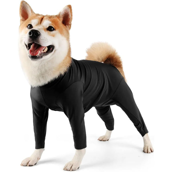 A light brown dog wearing a black post-surgery recovery onesie suit.