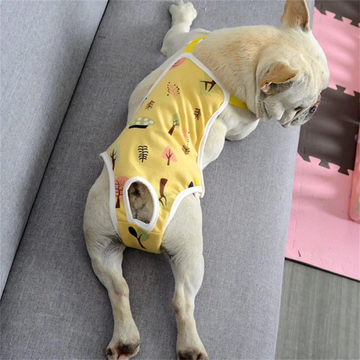 A light-colored dog is wearing a yellow patterned adjustable diaper with suspenders.