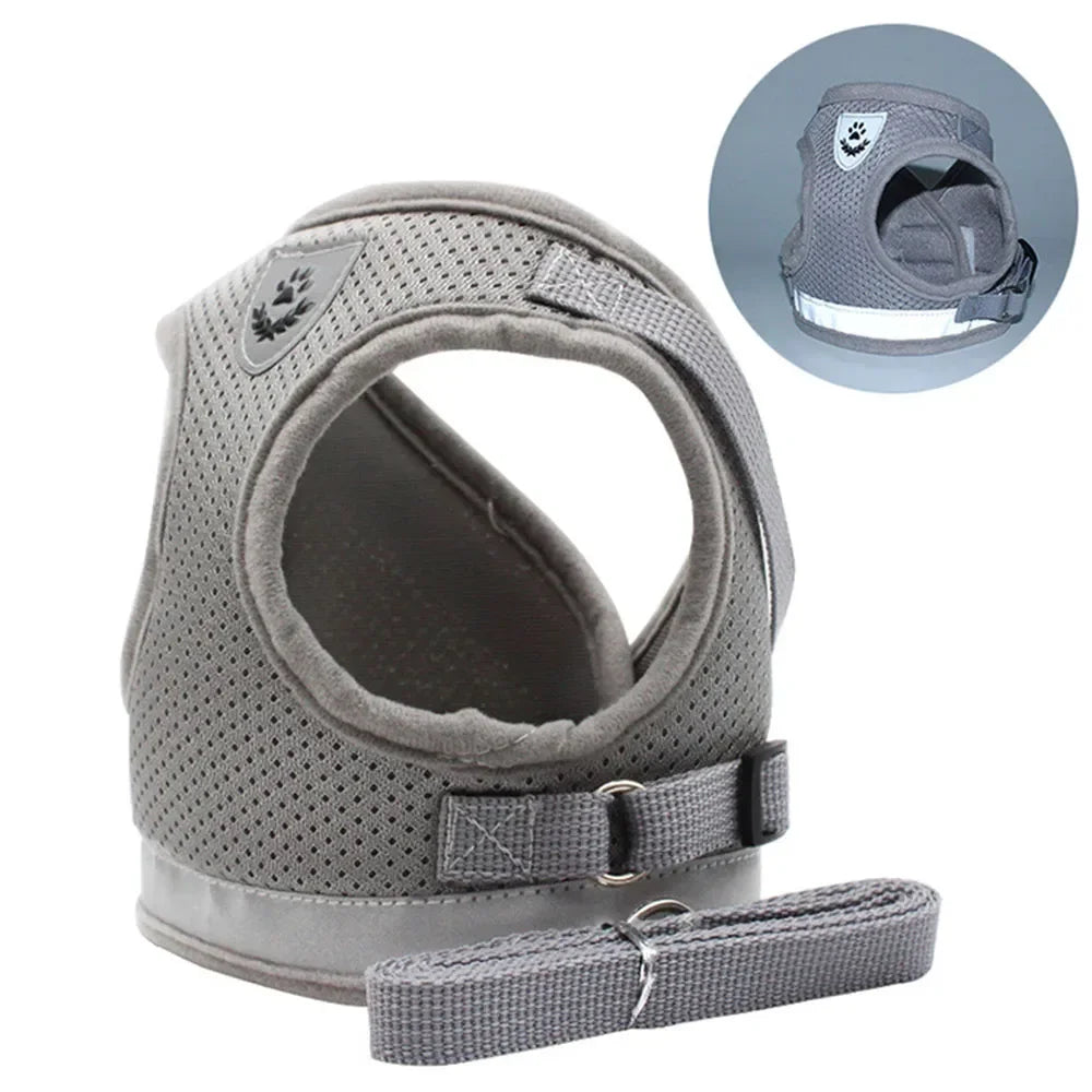Gray reflective mesh cat harness and leash set with a padded collar visible.