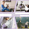Reusable Female Dog Diapers with Leakproof Protection