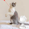 Automatic Laser Cat Toy with Motion-Activated Play