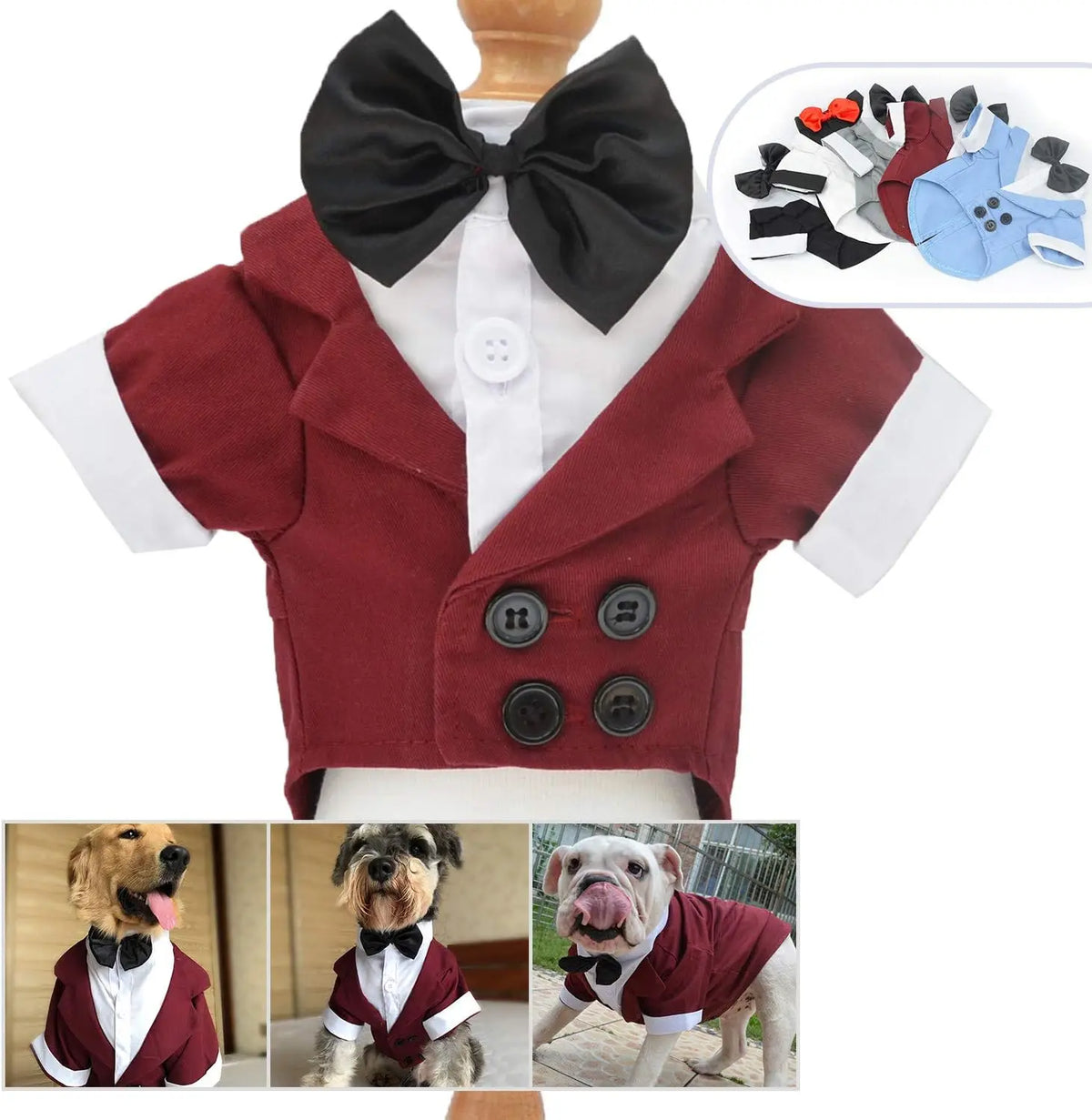 A classic pet tuxedo featuring a maroon jacket with black buttons and a black bow tie for dogs.