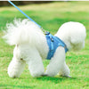 A white fluffy dog wearing a blue breathable reflective vest harness outdoors on green grass.