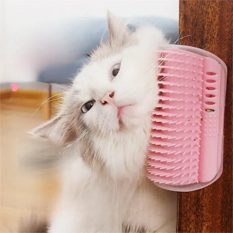 Auto-lisseur d'angle pour chat avec catnip intégré