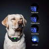 Rechargeable Dog Training Collar with Remote Control