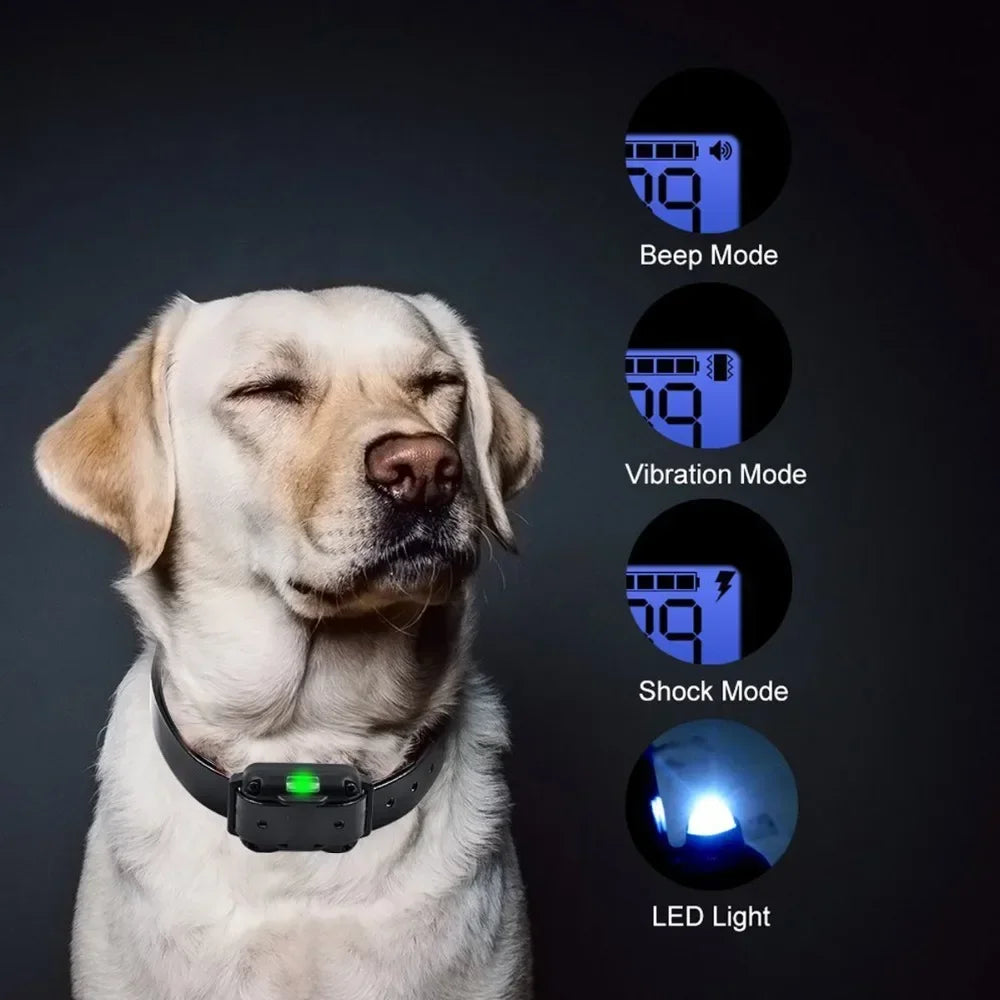 Rechargeable Dog Training Collar with Remote Control