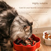 Ceramic Slow Feeder Bowl for Cats and Small Dogs