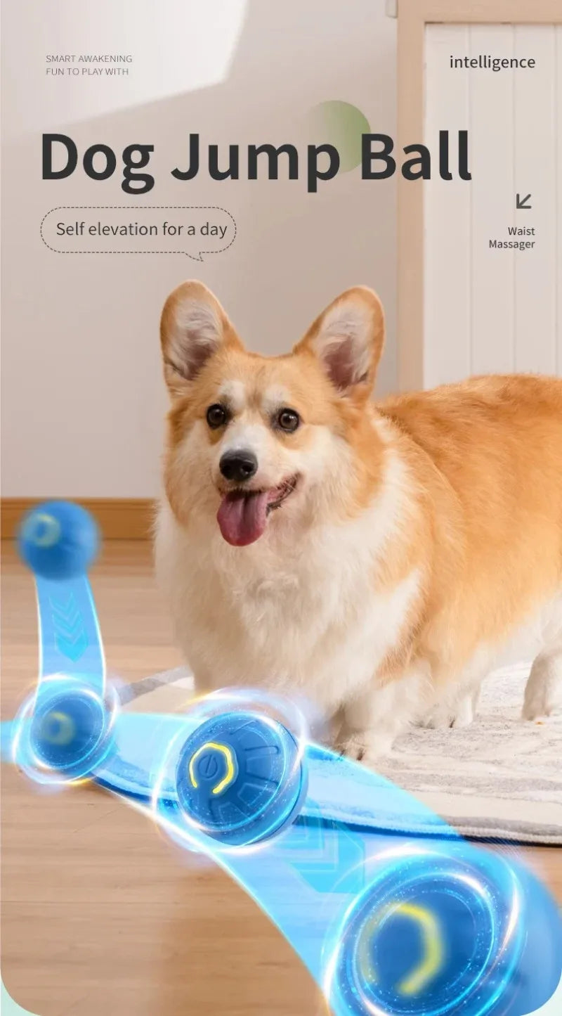 Interaktiver smarter Hundespielball